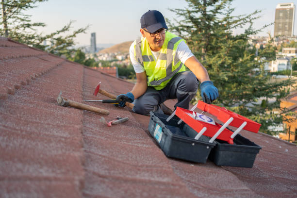 Best Demolition Debris Removal  in Clendenin, WV